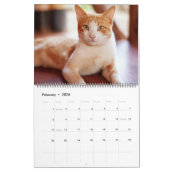 Prachtige Oranje tablet 2022 Kalender (Feb 2026)