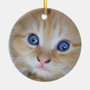 Prachtige Oranje tablet Kitten Keramisch Ornament