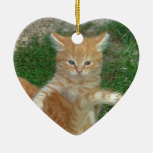 Prachtige Oranje tablet Kitten Keramisch Ornament (Voorkant)