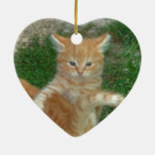 Prachtige Oranje tablet Kitten Keramisch Ornament (Achterkant)