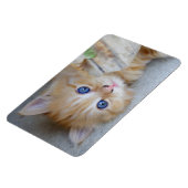 Prachtige Oranje tablet Kitten Magneet (Linkerzijde)