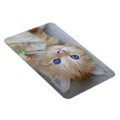 Prachtige Oranje tablet Kitten Magneet (Rechterzijde)