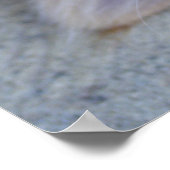 Prachtige Oranje tablet Kitten Poster (Hoek)