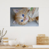 Prachtige Oranje tablet Kitten Poster (Keuken)