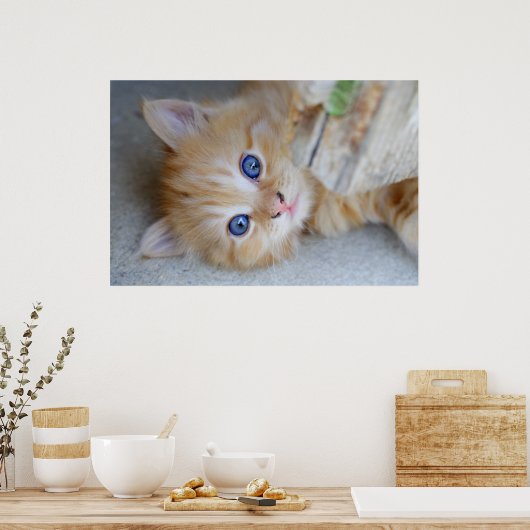 Prachtige Oranje tablet Kitten Poster (Keuken)