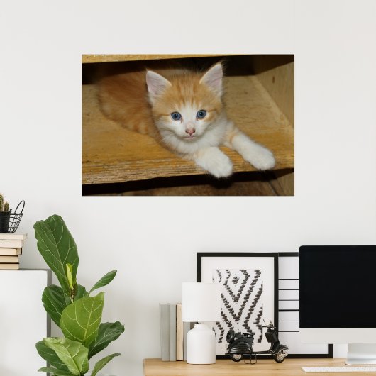 Prachtige Oranje tablet Kitten Poster (Thuiskantoor)