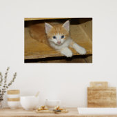 Prachtige Oranje tablet Kitten Poster (Keuken)