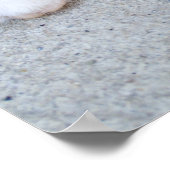 Prachtige Oranje tablet Kitten Poster (Hoek)