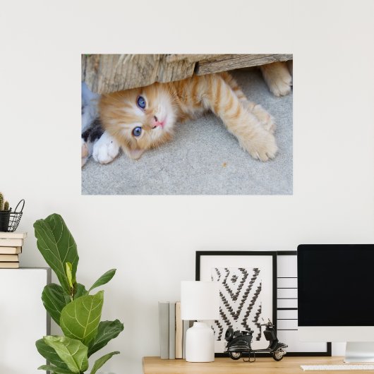 Prachtige Oranje tablet Kitten Poster (Thuiskantoor)