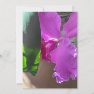Prachtige Orchidee Bedankkaart