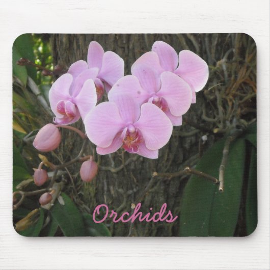 Prachtige Orchideeën Muismat (Voorkant)