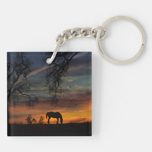 Prachtige paarden in de Sleutelhanger van de Zuidw (Achterkant)