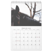 Prachtige paarden met een kleine paardenkalender v kalender (Feb 2026)