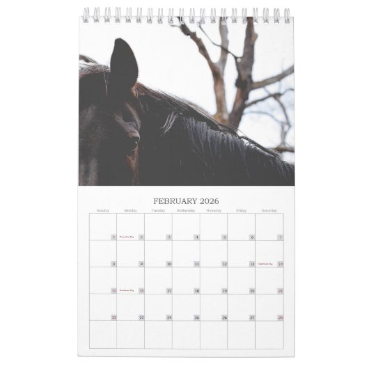 Prachtige paarden met een kleine paardenkalender v kalender (Feb 2026)