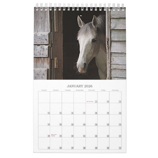 Prachtige paarden met een kleine paardenkalender v kalender (Jan 2026)