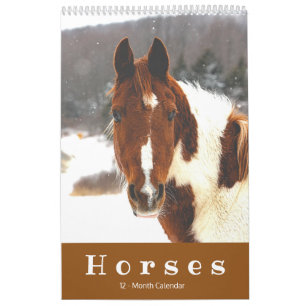 Prachtige paarden met een paardenkalender van 12 m kalender