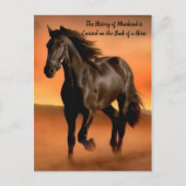 Prachtige paarden op de Oranje zon Briefkaart (Voorkant)