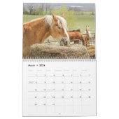 Prachtige paarden van 12 maanden kalender (Mar 2026)