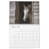 Prachtige paarden van 12 maanden kalender (Feb 2027)