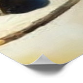 Prachtige paardengalopperij met moderne abstracte  poster (Hoek)