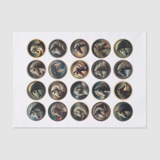 Prachtige paardenhoofden in een cirkel tissuepapier (Voorkant)