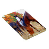 Prachtige paardenmagneten magneet (Rechterzijde)