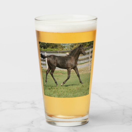 Prachtige paardenprancing in een veld glas (Voorkant gevuld)