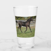 Prachtige paardenprancing in een veld glas (Voorkant)