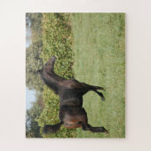 Prachtige paardenprancing in een veld legpuzzel (Verticaal)