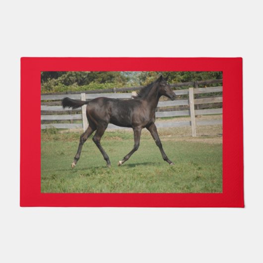 Prachtige paardenprancing in het veld deurmat (Voorkant)