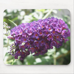 Prachtige Paarse Boeddleia Flowers Mousepad Muismat