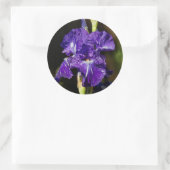 Prachtige Paarse gepantserde iris in de middags va Ronde Sticker (Tas)