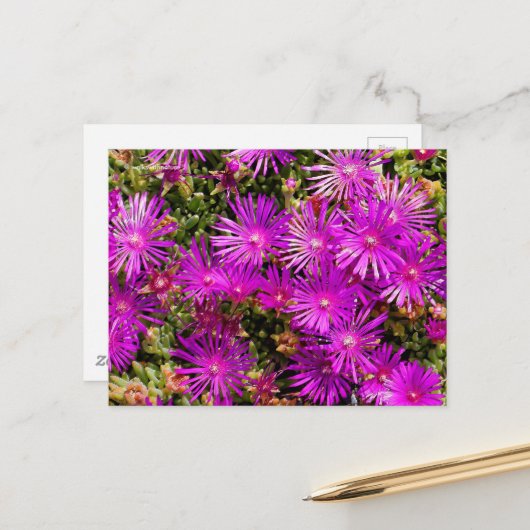 Prachtige Paarse ijsbloemen Briefkaart (Voorkant / Achterkant in situ)