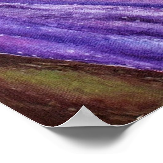 Prachtige Paarse Iris Art Print (Hoek)