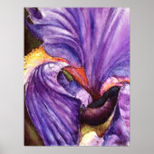 Prachtige Paarse Iris Art Print (Voorkant)