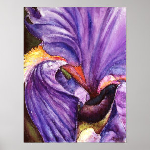 Prachtige Paarse Iris Art Print