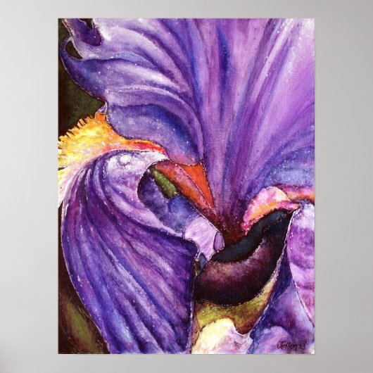 Prachtige Paarse Iris Art Print (Voorkant)
