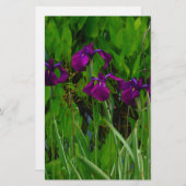 Prachtige Paarse Iris Briefpapier (Voorkant / Achterkant)
