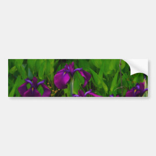 Prachtige Paarse Iris Bumpersticker