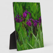 Prachtige Paarse Iris Fotoplaat (Zijkant)