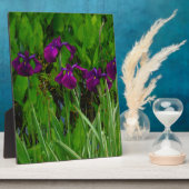 Prachtige Paarse Iris Fotoplaat (Zijkant)