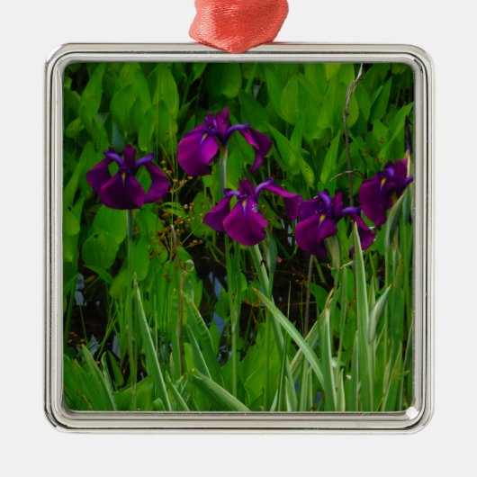 Prachtige Paarse Iris Metalen Ornament (Voorkant)