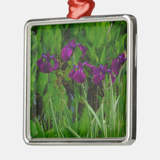 Prachtige Paarse Iris Metalen Ornament (Links)