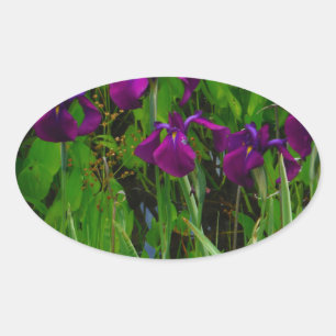 Prachtige Paarse Iris Ovale Sticker
