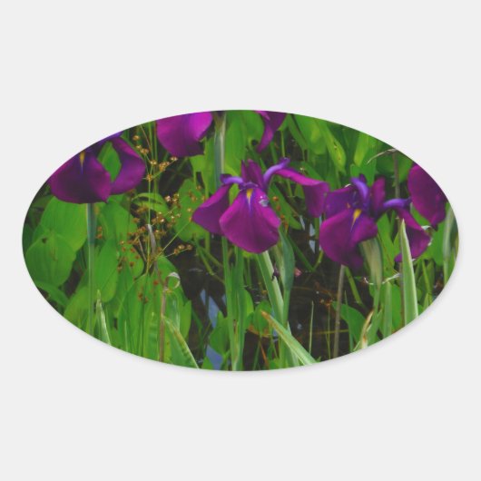 Prachtige Paarse Iris Ovale Sticker (Voorkant)