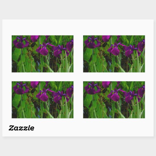 Prachtige Paarse Iris Rechthoekige Sticker (Vel)