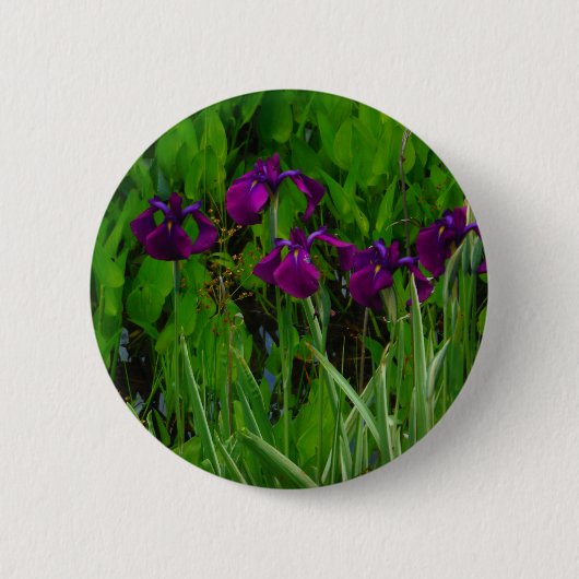 Prachtige Paarse Iris Ronde Button 5,7 Cm (Voorkant)