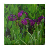 Prachtige Paarse Iris Tegeltje (Voorkant)