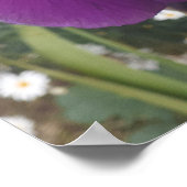 Prachtige Paarse Iris Vloertuin Poster (Hoek)