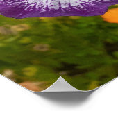 Prachtige Paarse Iris Vloertuin Poster (Hoek)